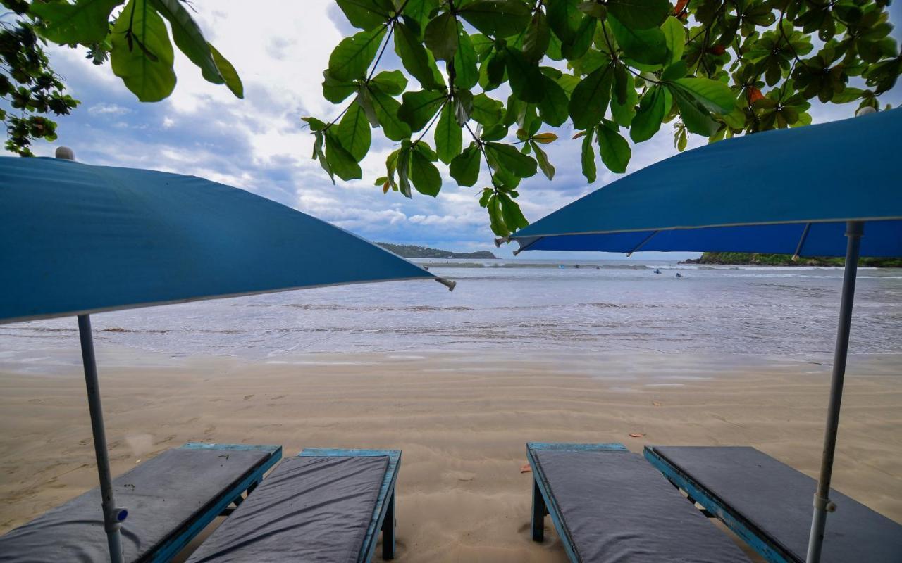 Palm Leaf Surf Cafe Hotel Galle Kültér fotó